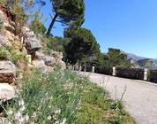 Health Trail in Petrovac