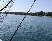Ontario