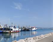 Fisherman's port of Durres