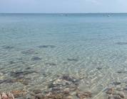 Next to Gorey Castle beautiful place