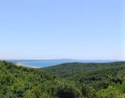Albanie