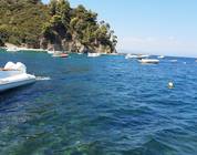 Chalcidique