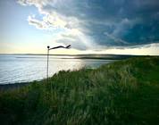 Lawrencetown beach view