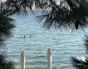 Chalkidiki