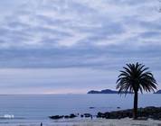 Samil