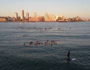 Encuentro de nadadores frente a la costa de Mar del Plata