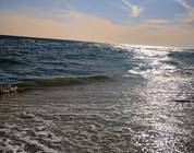 Florida Gulf Coast