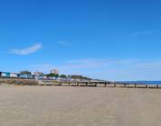 Essex