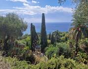 Liguria