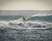 Surfing Ponta Point