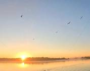 Blackwater bay another amazing morning.