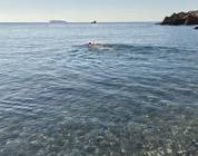 Quinto al mare, 13/12/2025