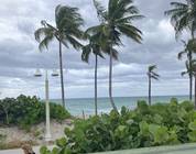 Another Day in Paradise 11/28/25