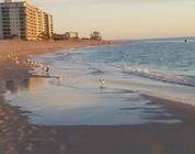 Costa del Golfo de Florida
