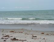 Floride