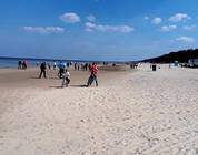 Mar Baltico