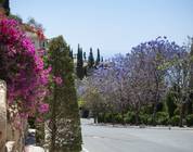 Chypre