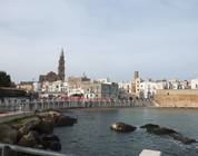Monopoli
