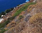 Islas del Egeo