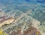 Kroatien