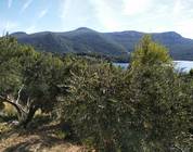 Kroatien