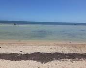 Côte du Golfe de Floride