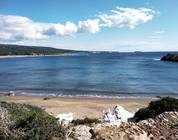 Lara Bay