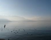 Schweiz