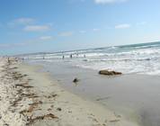 California