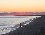 Cape Cod