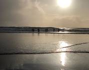 Caswell dipping 27th december, South Wales uk