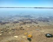  Elk Rapids, Mi