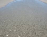 Sunset Beach