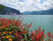 Svizzera