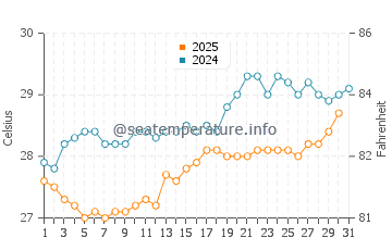 Agnes Water water temp chart in January