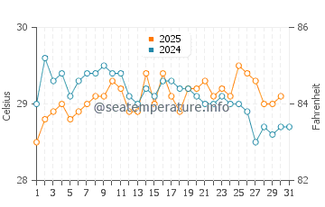 Wassertemperatur Ambodifotatra im Januar