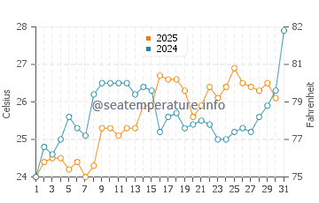 Wassertemperatur Ensenada im Januar