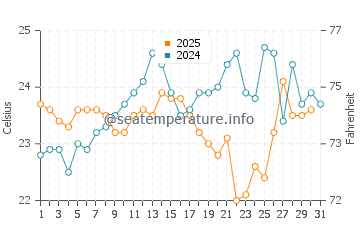 Avalon Beach water temp chart in January
