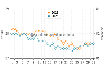 Temperature dell'acqua a Berekua a gennaio