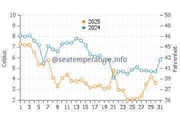 Wassertemperatur Cape May im Januar