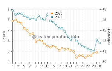 Wassertemperatur Charlestown Beach im Januar
