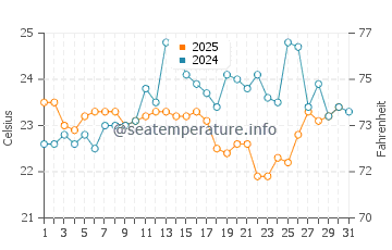 Dee Why water temp chart in January