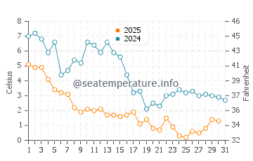 Wassertemperatur Edgemere im Januar