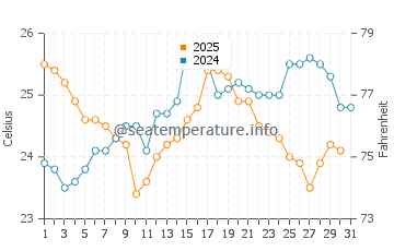 Temperature dell'acqua a El Cuyo a gennaio