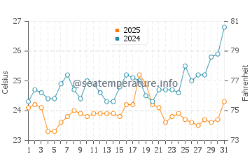 Temperature dell'acqua a Fernandina a gennaio