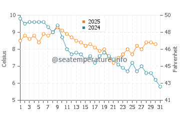 Temperature dell'acqua a Sabbie d'oro a gennaio