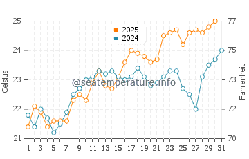 Wassertemperatur Hermenegildo im Januar