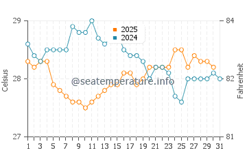 Temperatura vode u Plaža leptira u siječnju