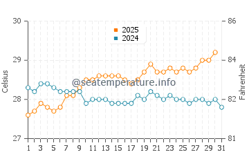 Wassertemperatur Les Avirons im Januar