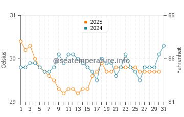 Wassertemperatur Mapusagafou im Januar